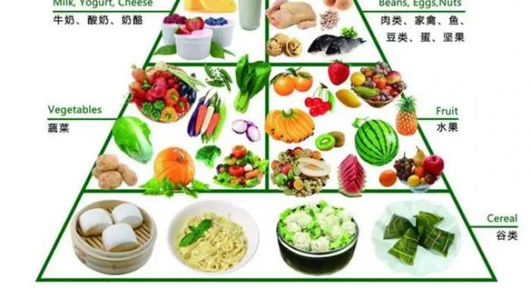 健康管理师-医学基础知识