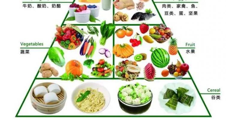 健康管理师|肥胖干预教育的知识要点