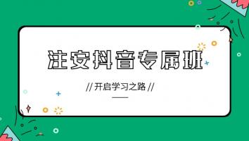 2023注安抖音专属班599【化工】+